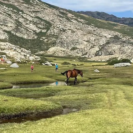 Mini Agosta Villa Albitreccia