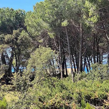 Mini Agosta * Albitreccia