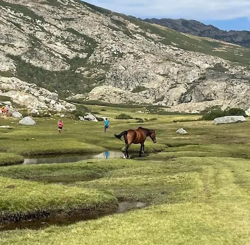 Mini Agosta Villa Albitreccia