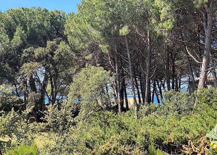 Mini Agosta * Albitreccia