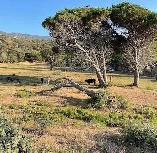 Mini Agosta Albitreccia